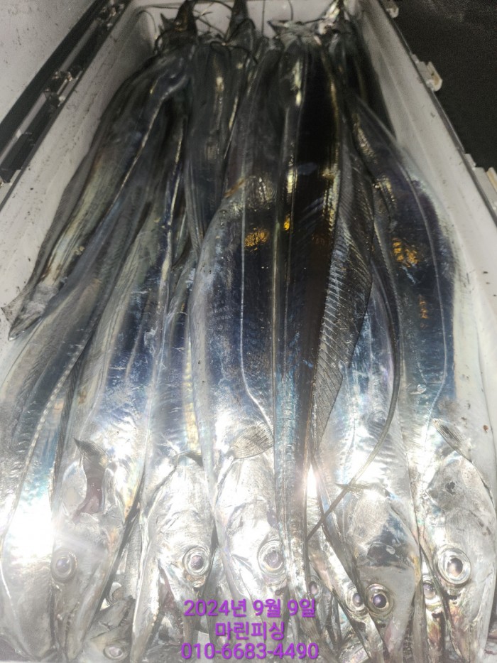 62638898cd11a7c889f5f282e20f0787_1725844332_3491.jpg 62638898cd11a7c889f5f282e20f0787_1725844332_3491.jpg