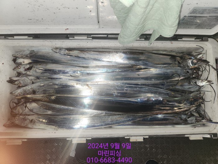 62638898cd11a7c889f5f282e20f0787_1725844333_6524.jpg 62638898cd11a7c889f5f282e20f0787_1725844333_6524.jpg