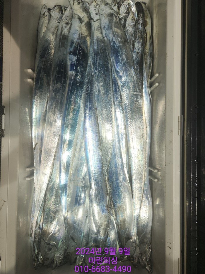 62638898cd11a7c889f5f282e20f0787_1725844334_967.jpg 62638898cd11a7c889f5f282e20f0787_1725844334_967.jpg