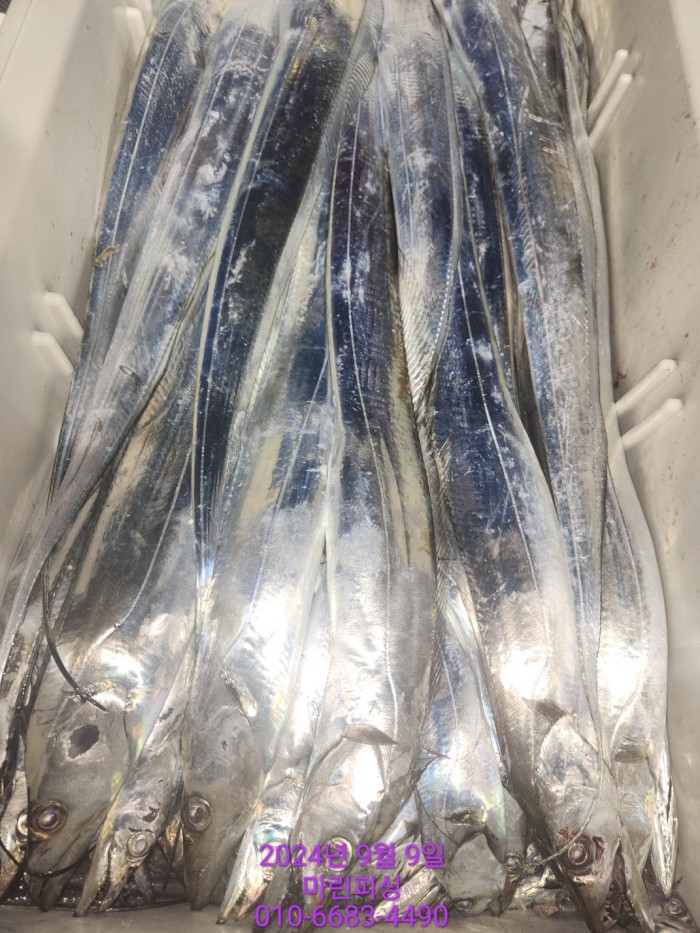 62638898cd11a7c889f5f282e20f0787_1725844336_195.jpg 62638898cd11a7c889f5f282e20f0787_1725844336_195.jpg