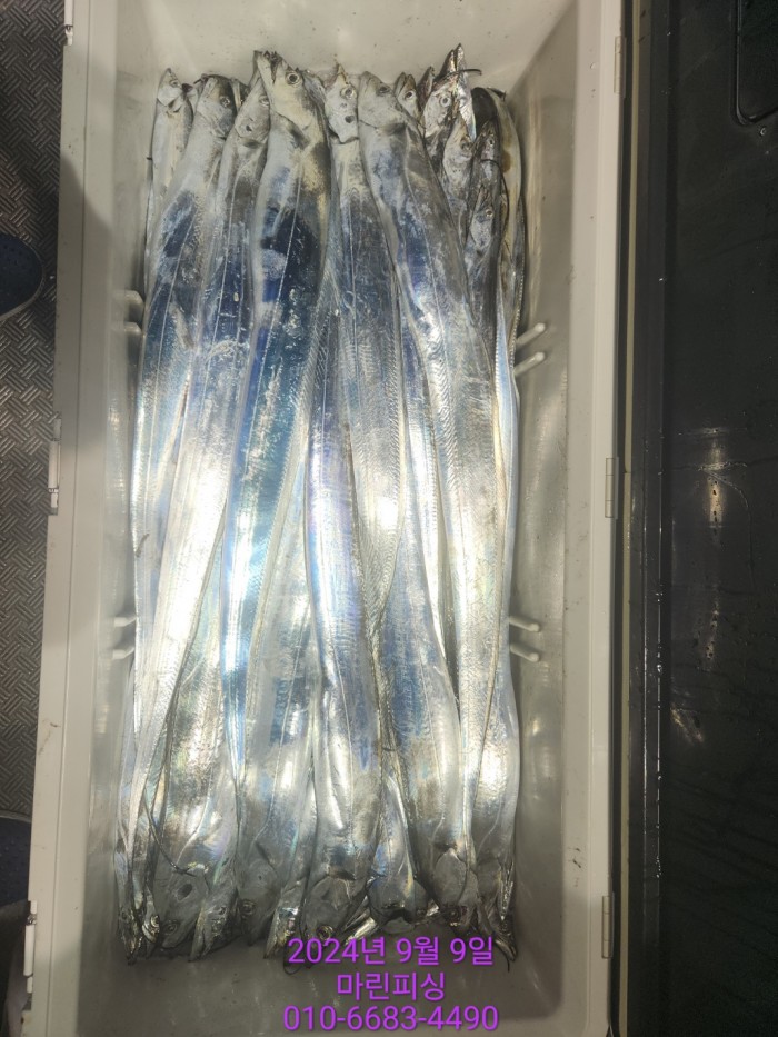 62638898cd11a7c889f5f282e20f0787_1725844337_4525.jpg 62638898cd11a7c889f5f282e20f0787_1725844337_4525.jpg