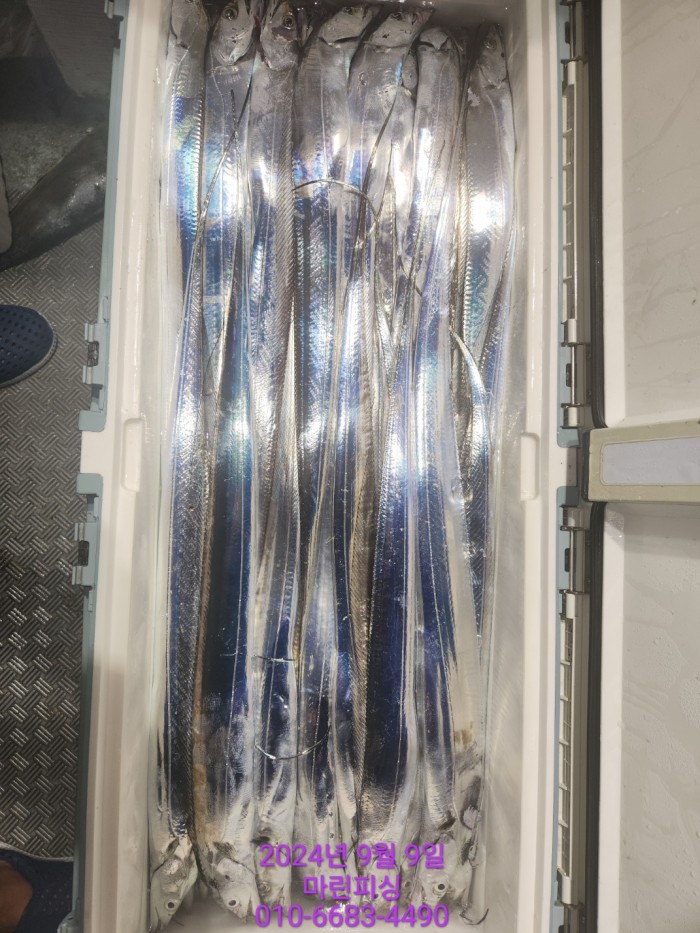 62638898cd11a7c889f5f282e20f0787_1725844338_6477.jpg 62638898cd11a7c889f5f282e20f0787_1725844338_6477.jpg