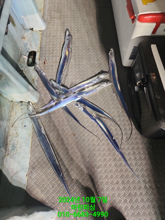 25204dc6b80c8062063b58e13a16295b_1728266752_2157.jpg 25204dc6b80c8062063b58e13a16295b_1728266752_2157.jpg