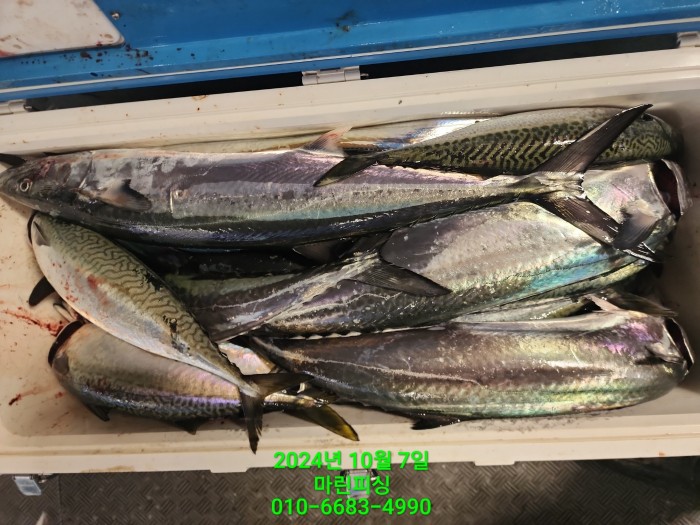 25204dc6b80c8062063b58e13a16295b_1728266754_2065.jpg 25204dc6b80c8062063b58e13a16295b_1728266754_2065.jpg