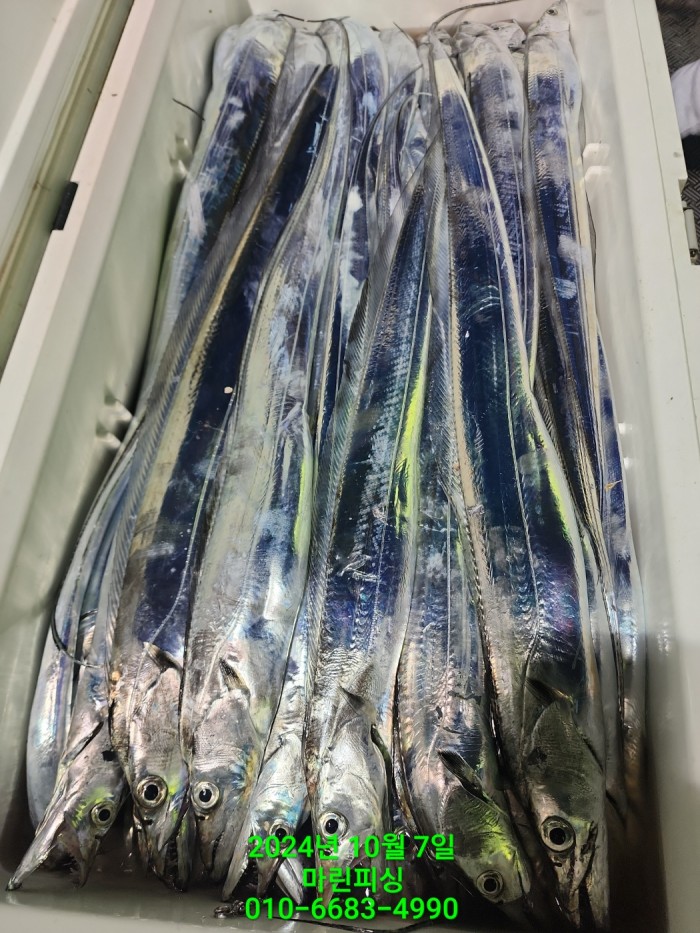 25204dc6b80c8062063b58e13a16295b_1728266758_6571.jpg 25204dc6b80c8062063b58e13a16295b_1728266758_6571.jpg