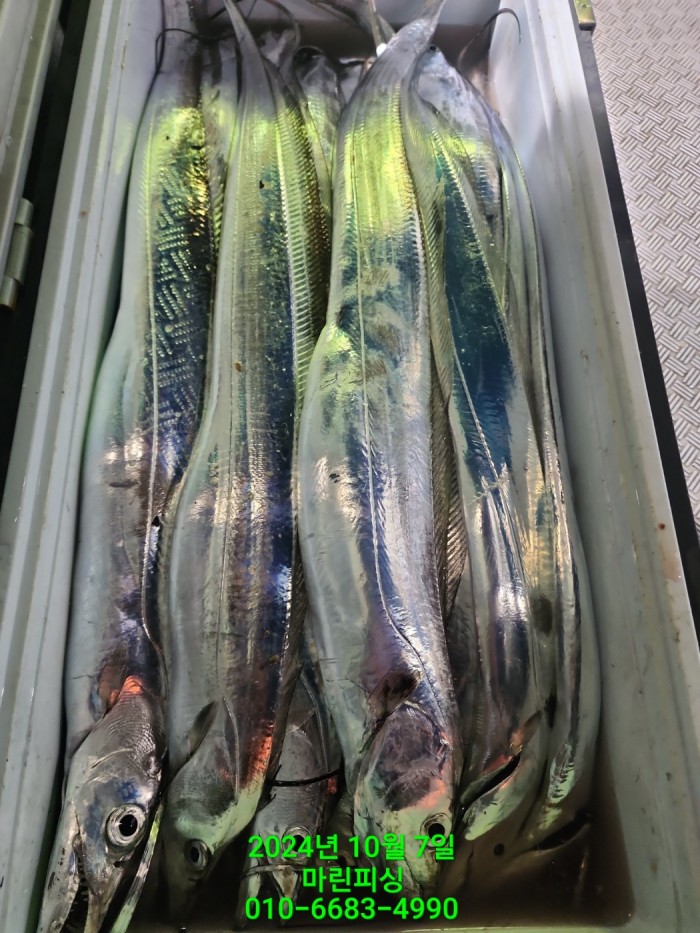 25204dc6b80c8062063b58e13a16295b_1728266759_639.jpg 25204dc6b80c8062063b58e13a16295b_1728266759_639.jpg