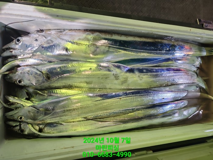 25204dc6b80c8062063b58e13a16295b_1728266760_6613.jpg 25204dc6b80c8062063b58e13a16295b_1728266760_6613.jpg