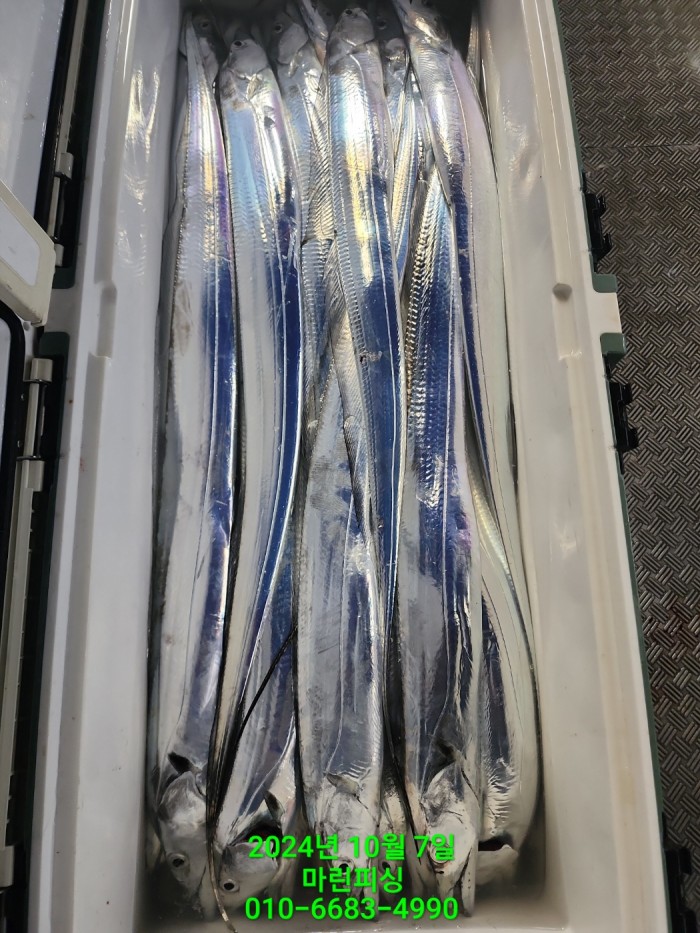 25204dc6b80c8062063b58e13a16295b_1728266761_9975.jpg 25204dc6b80c8062063b58e13a16295b_1728266761_9975.jpg