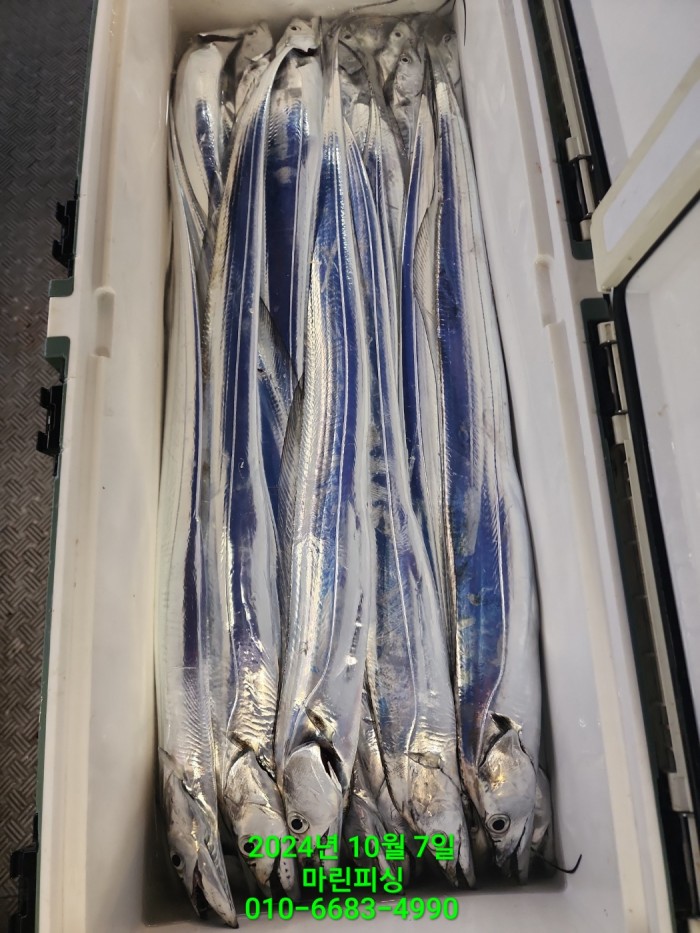 25204dc6b80c8062063b58e13a16295b_1728266763_1633.jpg 25204dc6b80c8062063b58e13a16295b_1728266763_1633.jpg