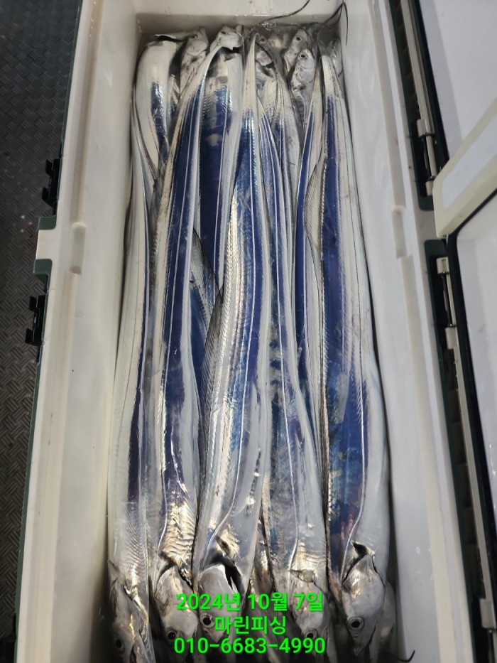 25204dc6b80c8062063b58e13a16295b_1728266765_2208.jpg 25204dc6b80c8062063b58e13a16295b_1728266765_2208.jpg