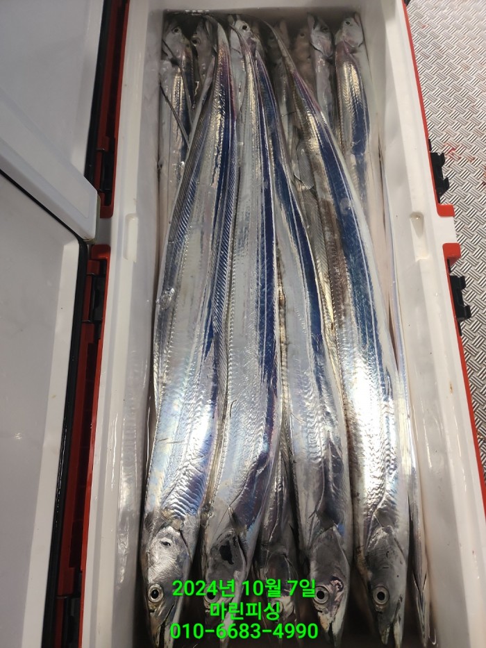 25204dc6b80c8062063b58e13a16295b_1728266767_2983.jpg 25204dc6b80c8062063b58e13a16295b_1728266767_2983.jpg