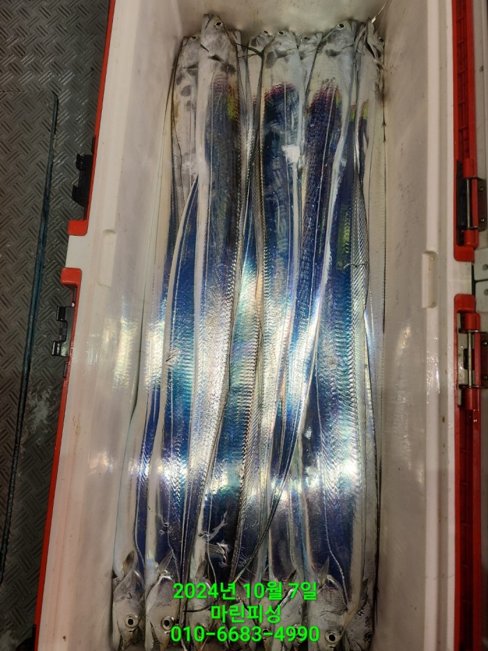 25204dc6b80c8062063b58e13a16295b_1728266768_4893.jpg 25204dc6b80c8062063b58e13a16295b_1728266768_4893.jpg