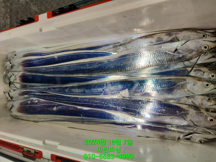 25204dc6b80c8062063b58e13a16295b_1728266769_6261.jpg 25204dc6b80c8062063b58e13a16295b_1728266769_6261.jpg