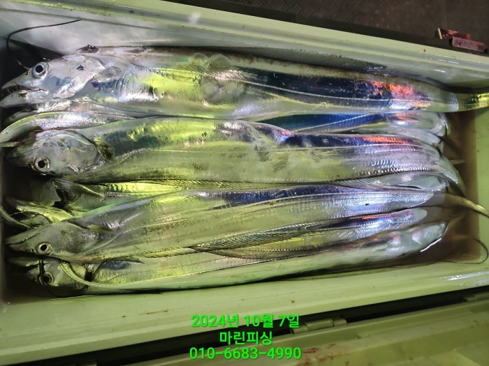 25204dc6b80c8062063b58e13a16295b_1728266770_4892.jpg 25204dc6b80c8062063b58e13a16295b_1728266770_4892.jpg