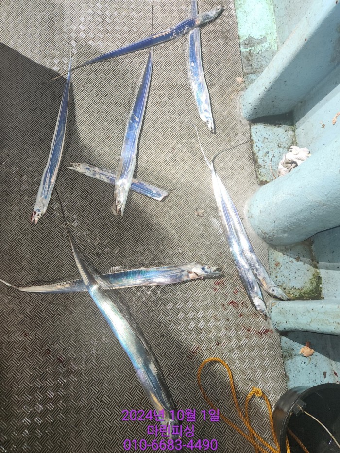 557159a5089df61874c8e5a142bae6db_1727748808_4845.jpg 557159a5089df61874c8e5a142bae6db_1727748808_4845.jpg