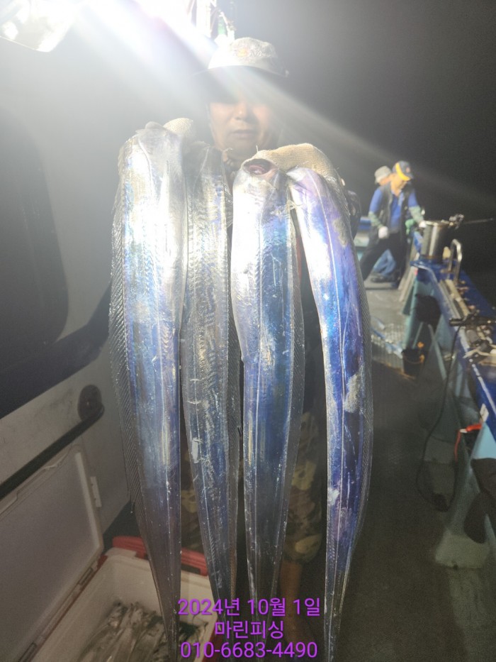 557159a5089df61874c8e5a142bae6db_1727748810_7939.jpg 557159a5089df61874c8e5a142bae6db_1727748810_7939.jpg