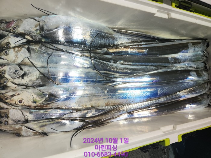 557159a5089df61874c8e5a142bae6db_1727748812_3271.jpg 557159a5089df61874c8e5a142bae6db_1727748812_3271.jpg