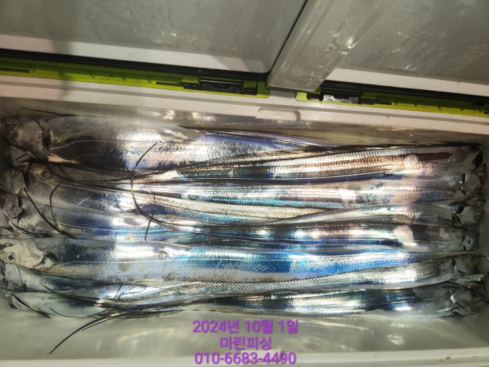 557159a5089df61874c8e5a142bae6db_1727748813_6693.jpg 557159a5089df61874c8e5a142bae6db_1727748813_6693.jpg