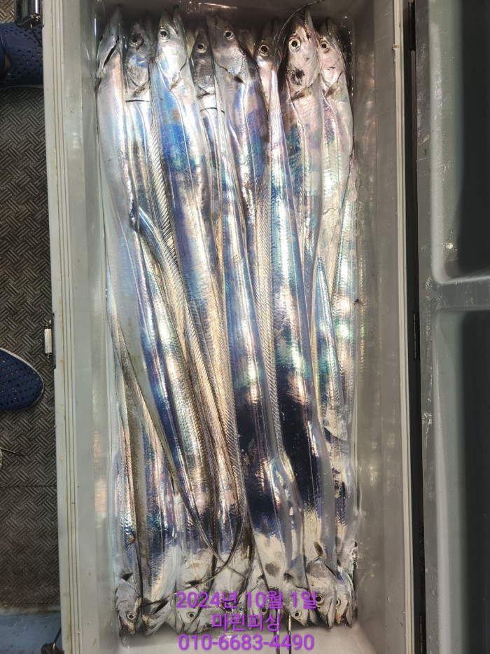 557159a5089df61874c8e5a142bae6db_1727748815_4211.jpg 557159a5089df61874c8e5a142bae6db_1727748815_4211.jpg