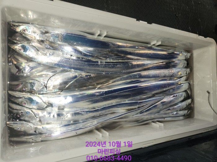 557159a5089df61874c8e5a142bae6db_1727748816_7941.jpg 557159a5089df61874c8e5a142bae6db_1727748816_7941.jpg