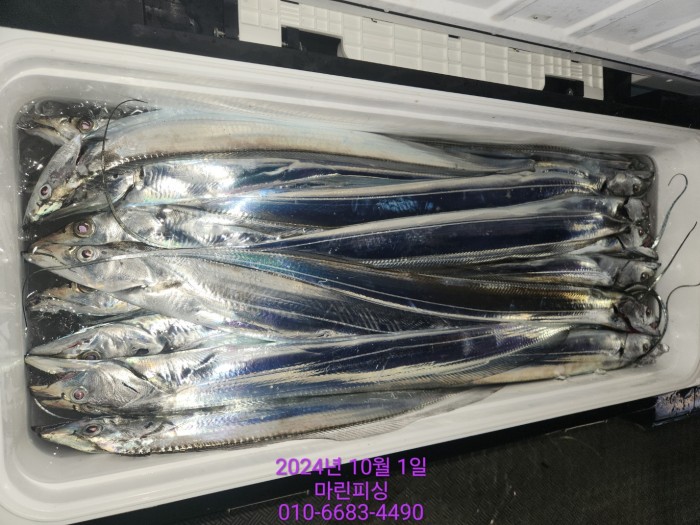 557159a5089df61874c8e5a142bae6db_1727748817_8967.jpg 557159a5089df61874c8e5a142bae6db_1727748817_8967.jpg