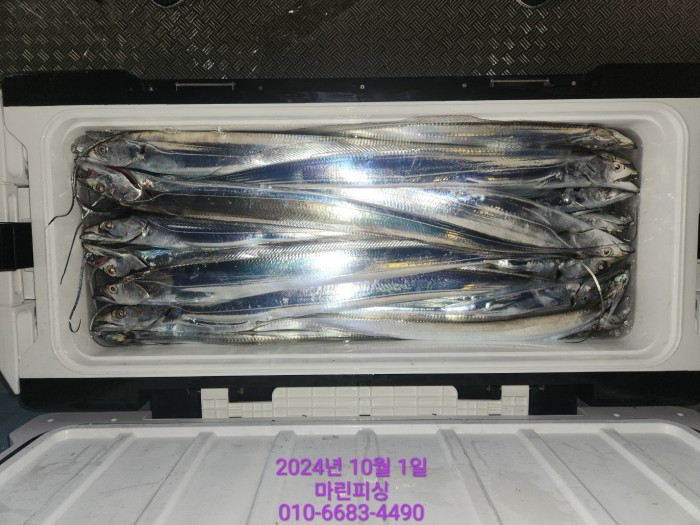 557159a5089df61874c8e5a142bae6db_1727748819_2082.jpg 557159a5089df61874c8e5a142bae6db_1727748819_2082.jpg