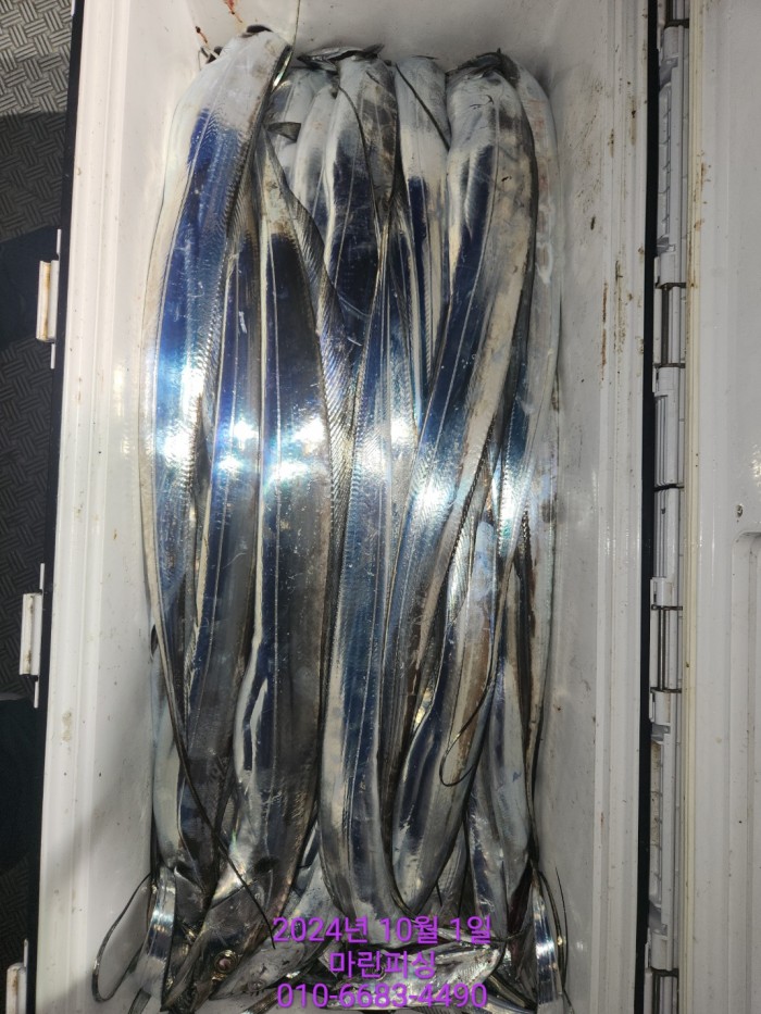 557159a5089df61874c8e5a142bae6db_1727748820_2318.jpg 557159a5089df61874c8e5a142bae6db_1727748820_2318.jpg