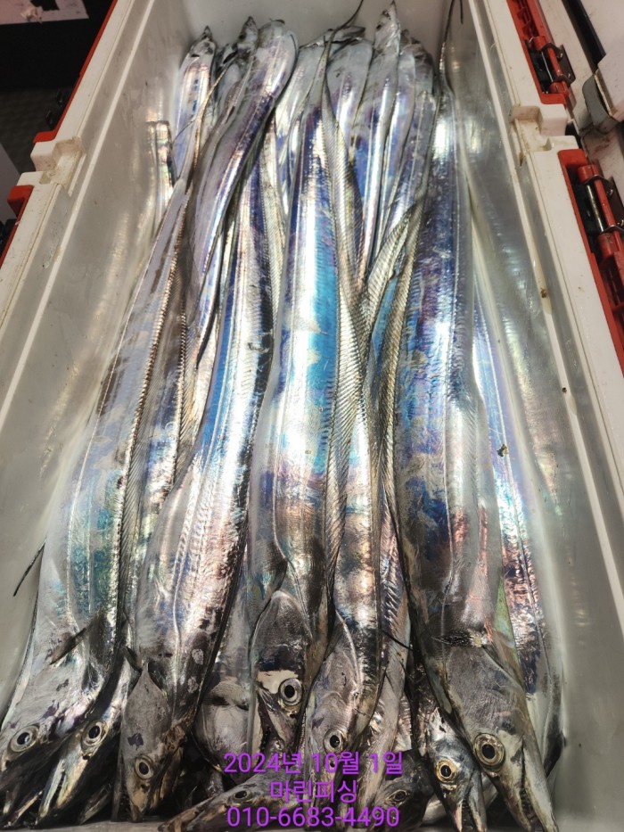 557159a5089df61874c8e5a142bae6db_1727748821_797.jpg 557159a5089df61874c8e5a142bae6db_1727748821_797.jpg