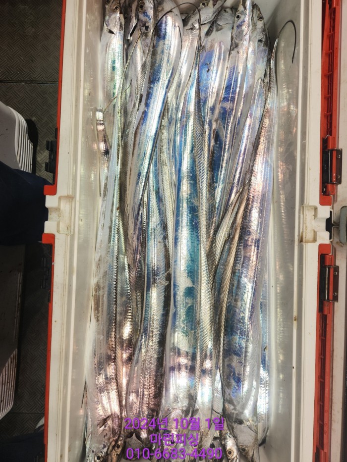 557159a5089df61874c8e5a142bae6db_1727748823_1823.jpg 557159a5089df61874c8e5a142bae6db_1727748823_1823.jpg