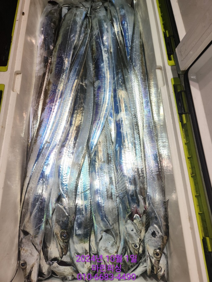 557159a5089df61874c8e5a142bae6db_1727748824_4215.jpg 557159a5089df61874c8e5a142bae6db_1727748824_4215.jpg