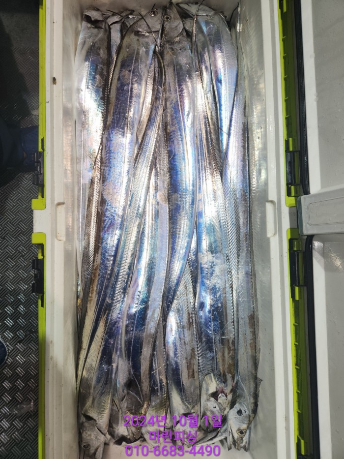 557159a5089df61874c8e5a142bae6db_1727748826_5526.jpg 557159a5089df61874c8e5a142bae6db_1727748826_5526.jpg