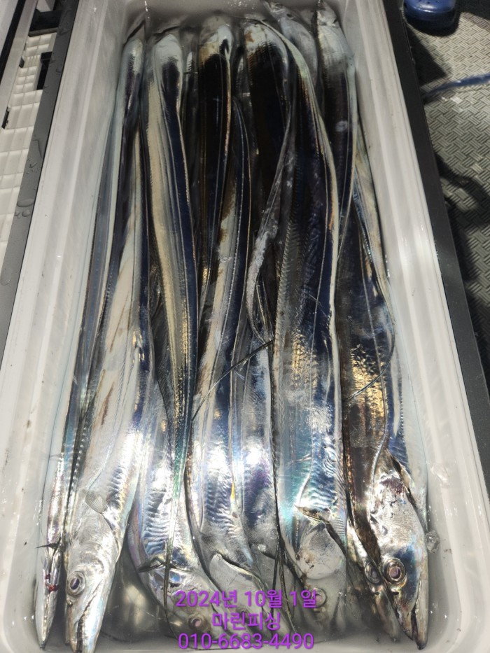 557159a5089df61874c8e5a142bae6db_1727748827_9753.jpg 557159a5089df61874c8e5a142bae6db_1727748827_9753.jpg