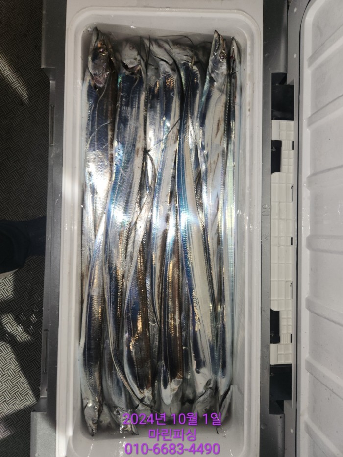 557159a5089df61874c8e5a142bae6db_1727748829_0441.jpg 557159a5089df61874c8e5a142bae6db_1727748829_0441.jpg