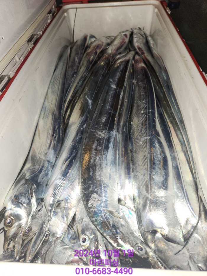 557159a5089df61874c8e5a142bae6db_1727748830_3014.jpg 557159a5089df61874c8e5a142bae6db_1727748830_3014.jpg