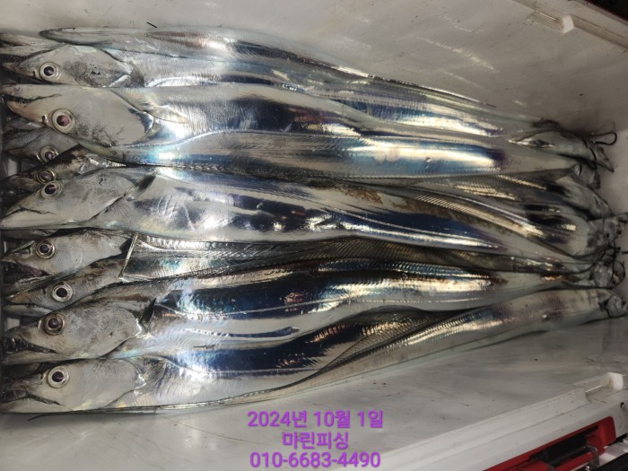 557159a5089df61874c8e5a142bae6db_1727748833_0282.jpg 557159a5089df61874c8e5a142bae6db_1727748833_0282.jpg