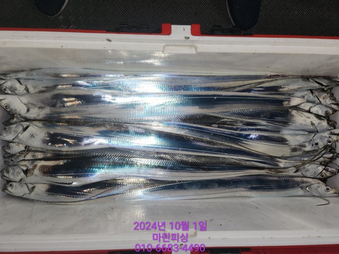 557159a5089df61874c8e5a142bae6db_1727748834_2343.jpg 557159a5089df61874c8e5a142bae6db_1727748834_2343.jpg