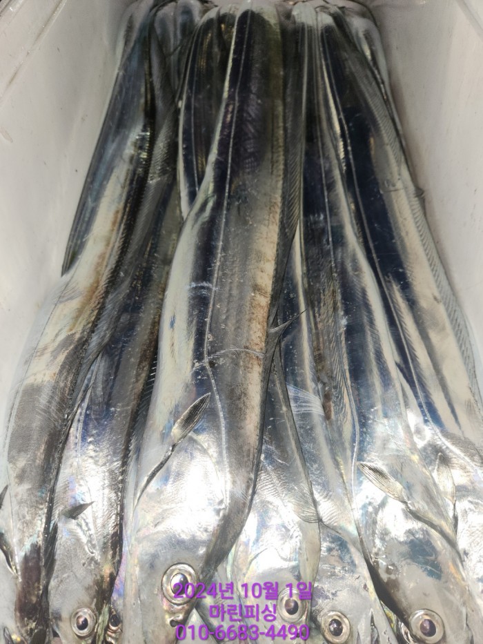 557159a5089df61874c8e5a142bae6db_1727748835_5241.jpg 557159a5089df61874c8e5a142bae6db_1727748835_5241.jpg