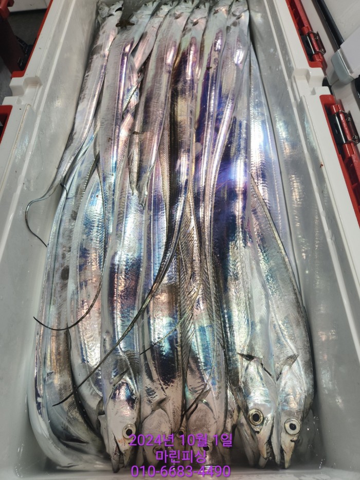 557159a5089df61874c8e5a142bae6db_1727748838_0753.jpg 557159a5089df61874c8e5a142bae6db_1727748838_0753.jpg