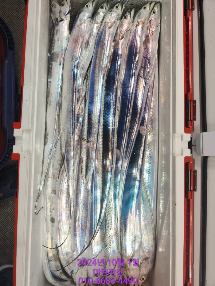 557159a5089df61874c8e5a142bae6db_1727748839_3819.jpg 557159a5089df61874c8e5a142bae6db_1727748839_3819.jpg