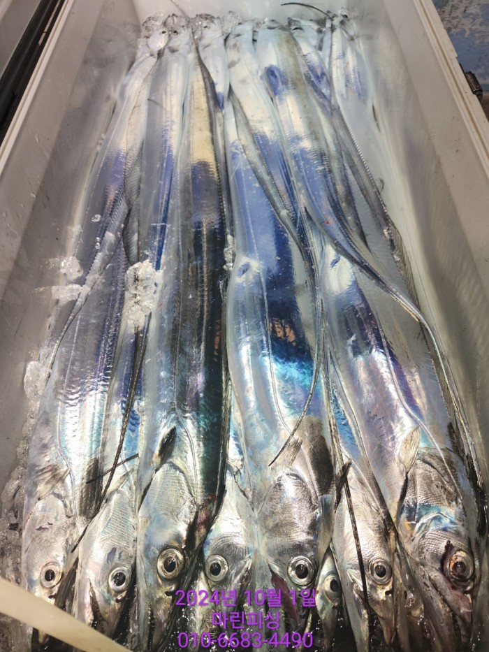 557159a5089df61874c8e5a142bae6db_1727748840_6301.jpg 557159a5089df61874c8e5a142bae6db_1727748840_6301.jpg