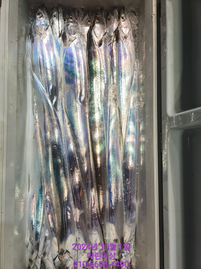 557159a5089df61874c8e5a142bae6db_1727748842_2703.jpg 557159a5089df61874c8e5a142bae6db_1727748842_2703.jpg