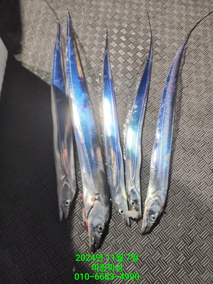 29962a5e6f8a64eb533931d61f0ba1d0_1730941321_0455.jpg 29962a5e6f8a64eb533931d61f0ba1d0_1730941321_0455.jpg