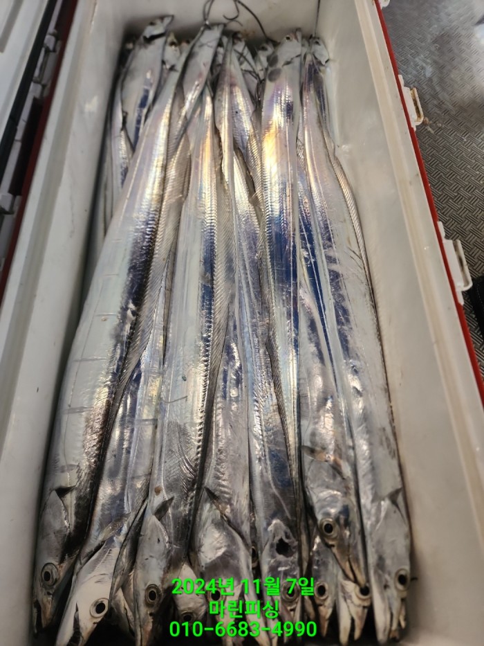 29962a5e6f8a64eb533931d61f0ba1d0_1730941322_0287.jpg 29962a5e6f8a64eb533931d61f0ba1d0_1730941322_0287.jpg