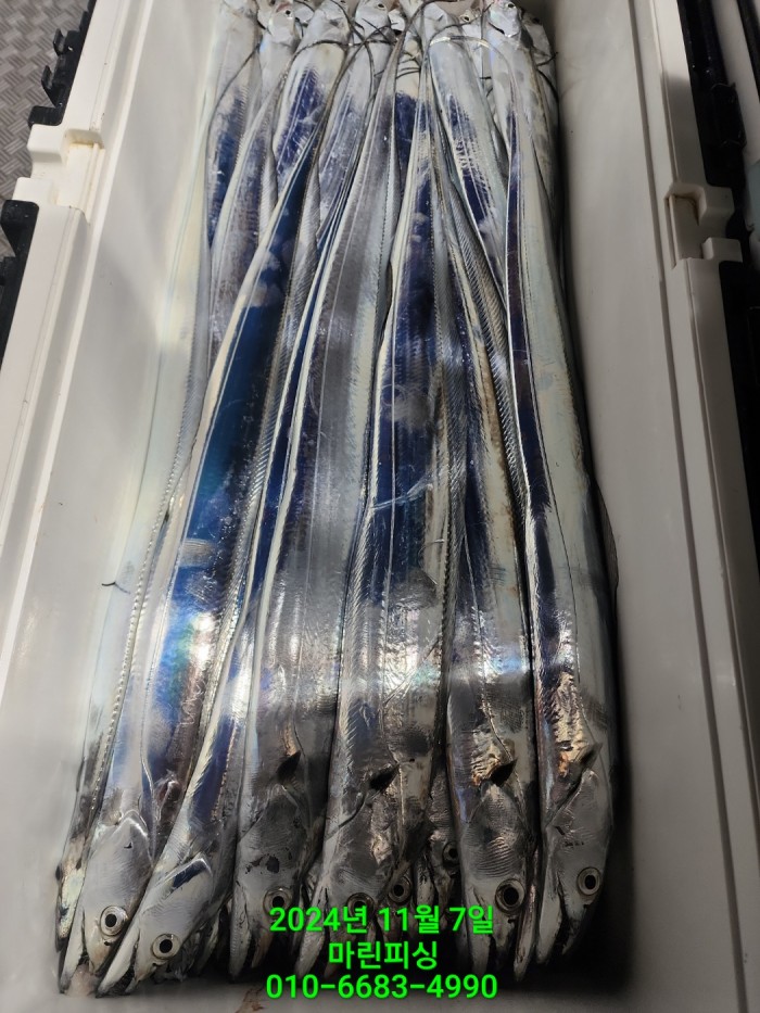 29962a5e6f8a64eb533931d61f0ba1d0_1730941325_0705.jpg 29962a5e6f8a64eb533931d61f0ba1d0_1730941325_0705.jpg