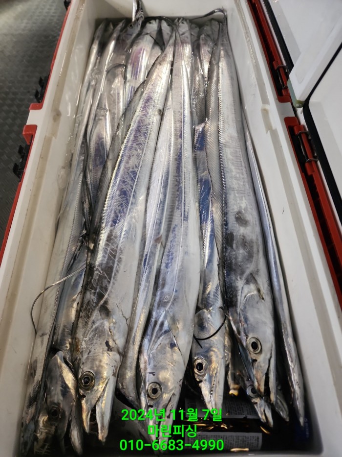 29962a5e6f8a64eb533931d61f0ba1d0_1730941326_0882.jpg 29962a5e6f8a64eb533931d61f0ba1d0_1730941326_0882.jpg