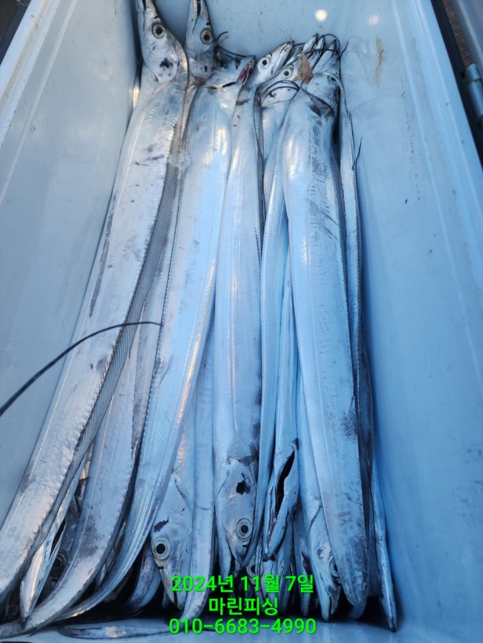 29962a5e6f8a64eb533931d61f0ba1d0_1730941327_3097.jpg 29962a5e6f8a64eb533931d61f0ba1d0_1730941327_3097.jpg