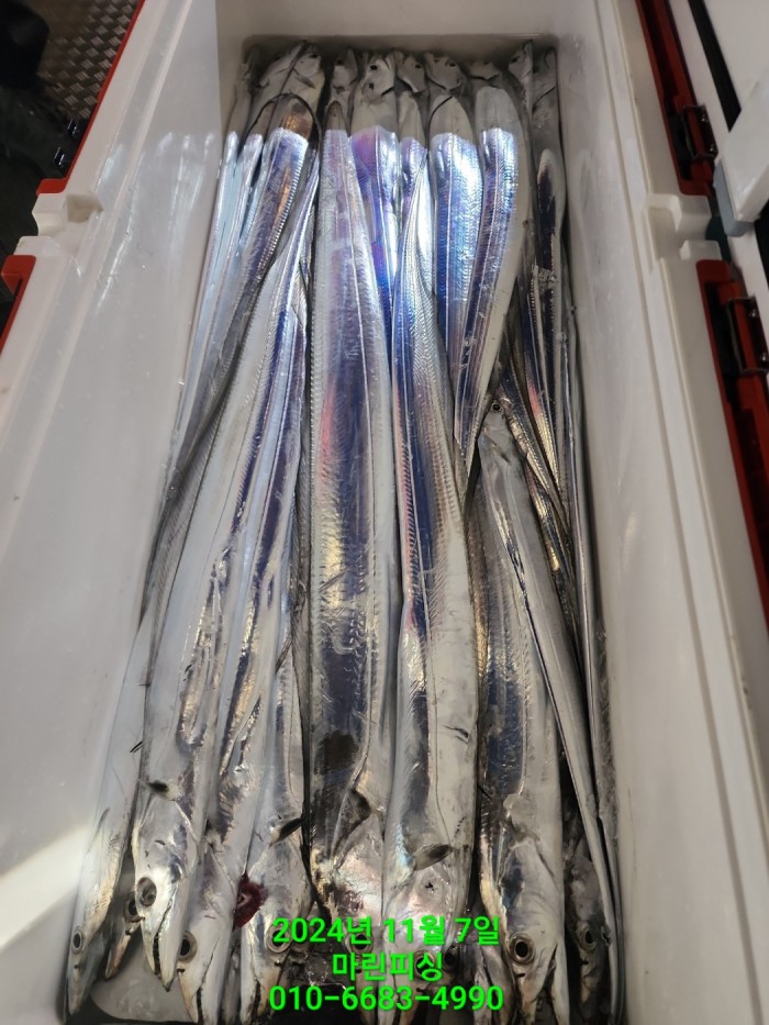 29962a5e6f8a64eb533931d61f0ba1d0_1730941328_2686.jpg 29962a5e6f8a64eb533931d61f0ba1d0_1730941328_2686.jpg