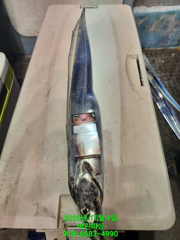 40680ee8df92c6a6011fd24f47545d93_1730689110_5284.jpg 40680ee8df92c6a6011fd24f47545d93_1730689110_5284.jpg