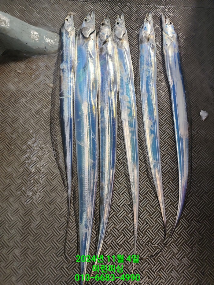 40680ee8df92c6a6011fd24f47545d93_1730689112_1882.jpg 40680ee8df92c6a6011fd24f47545d93_1730689112_1882.jpg