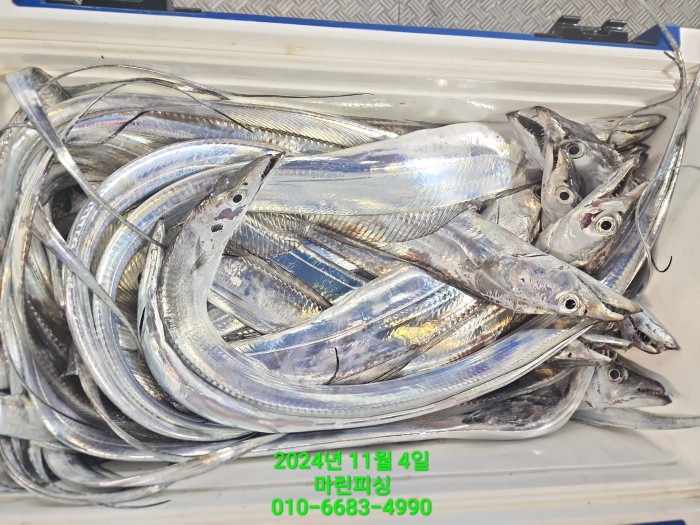 40680ee8df92c6a6011fd24f47545d93_1730689113_6375.jpg 40680ee8df92c6a6011fd24f47545d93_1730689113_6375.jpg